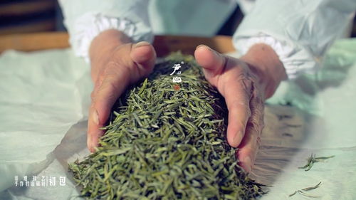 湖南三项入选非遗代表名录的制茶技艺正在此一展风采